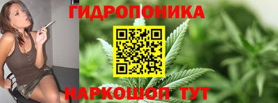 apvp Кинель