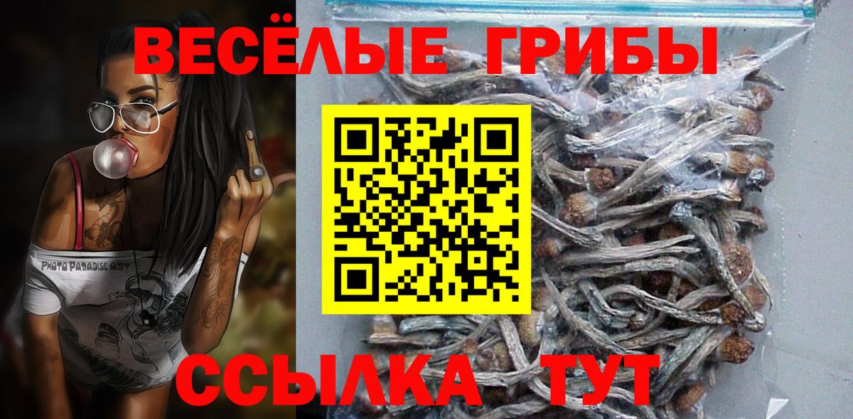 Галлюциногенные грибы Magic Shrooms Краснодар
